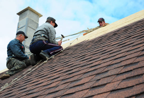 Best Shingle Roofing Installation  in Bnchard, LA